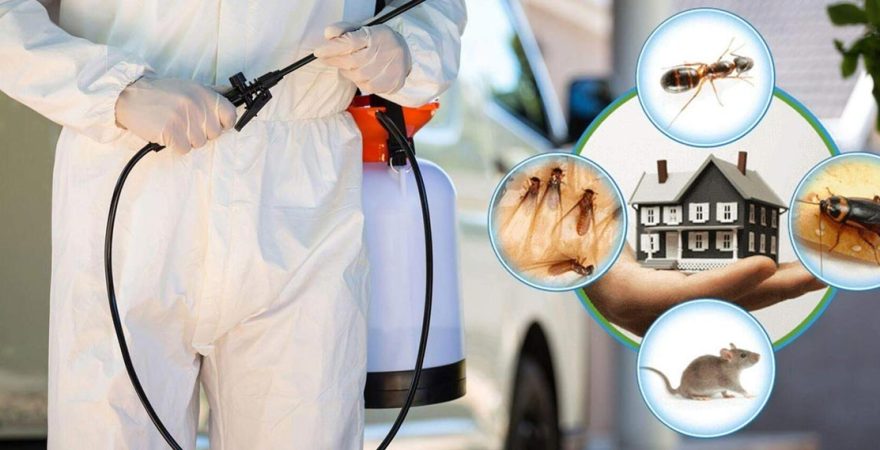 Çifteler Böcek İlaçlama