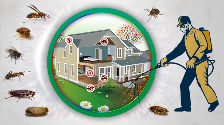 Çifteler Böcek İlaçlama