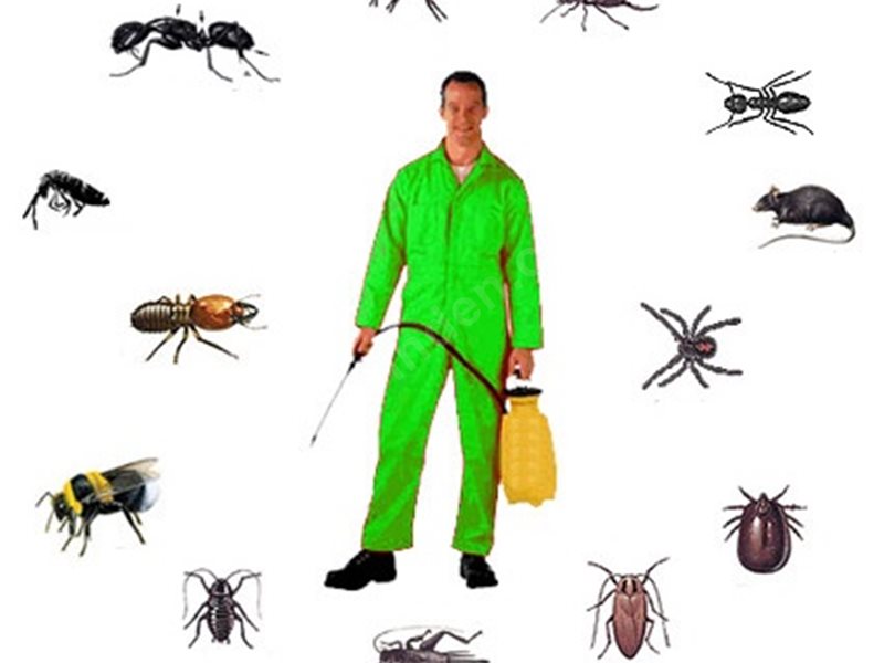 Çifteler Böcek İlaçlama